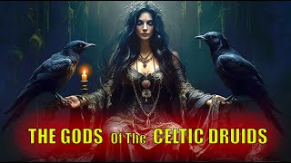 The Secrets of the Gods of the Celtic Druids Introduction to Tuatha Dé Danann Lughnasadh [upl. by Aryn]