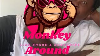 No Monkey Business [upl. by Wickner]