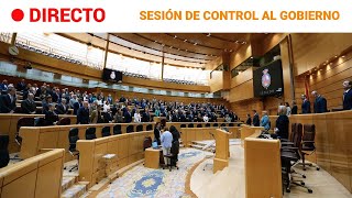 SENADO SESIÓN de CONTROL al GOBIERNO 19112024  RTVE Noticias [upl. by Eninaj]