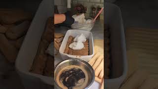 how we make tiramisu without eggs [upl. by Landry]