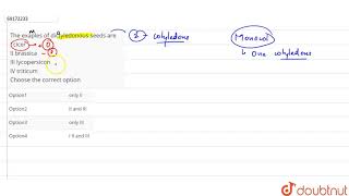 The exaples of dictyledonous seeds are cicer II brassica III lycopersicon IV triticum [upl. by Katharine588]