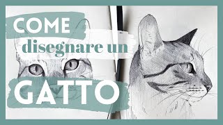 COME DISEGNARE un GATTO  Tutorial di disegno a matita e biro del mio gatto [upl. by Amadas]