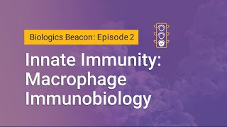 Innate Immunity Macrophage Immunobiology [upl. by Babbette]