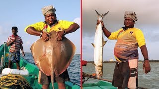 STINGRAY FISH CATCHING AT SEA [upl. by Nihhi903]