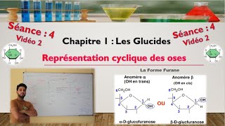 Séance 4  Vidéo 2  cyclisation des aldoses  formation de furanoses [upl. by Reckford203]