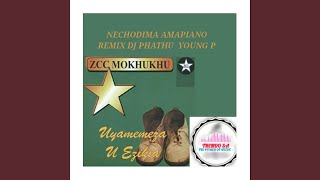 NECHODIMA AMAPIANO MIX [upl. by Idac682]