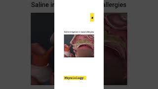 saline irrigation in nasal allergies physiology  medicalcareofhowkents vlog shorts [upl. by Akimehs]