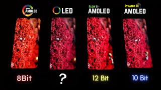 Super AMOLED vs OLED vs Flow OLED vs Dynamic AMOLED 2X  Display Test [upl. by Dyolf]