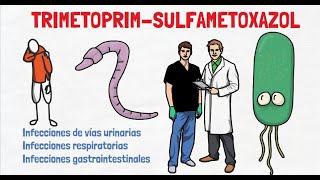 TRIMETOPRIMA  SULFAMETOXAZOL  PARA QUÉ SIRVE [upl. by Cirle274]