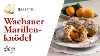 Wachauer Marillenknödel [upl. by Earlene]