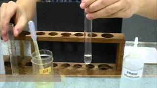 Ethanol emulsion test for fats [upl. by Metzgar]