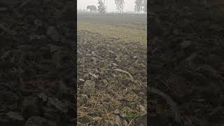 Novo 605 harrow novo arjunnovo tractor harrow mahindra india reels trending [upl. by Analad985]