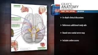 Grays Anatomy for Students 3rd Edition [upl. by Airdua147]