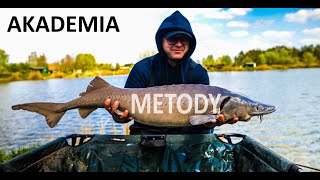 AKADEMIA METHOD FEEDER  Nowe trendy w metodzie [upl. by Airamana]