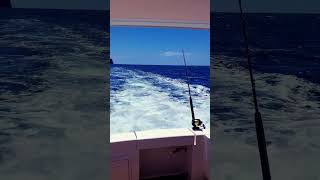 Jervis Bay Fishing [upl. by Selemas]