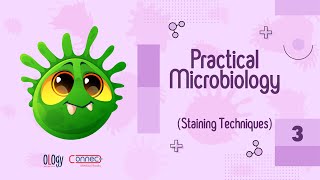 3 Staining Techniques [upl. by Flosser]