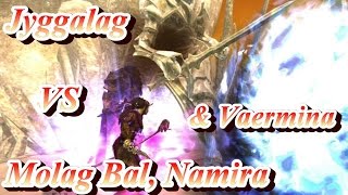 Skyrim Battles  Jyggalag vs Molag Bal Namira amp Vaermina Legendary Settings [upl. by Corsiglia425]