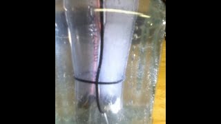 Electrolysis of Water and Hydrogen Explosion [upl. by Seda]