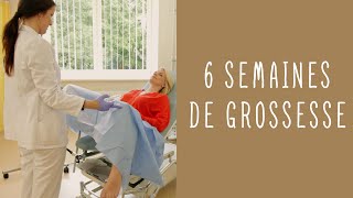 6 semaines de grossesse [upl. by Hayyifas]