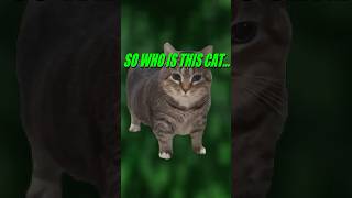 Who is the OIIA Cat memes [upl. by Zelazny489]