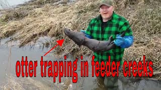 how to trap otter for beginners tricks [upl. by Bucky]