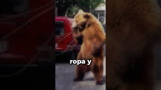 El ATERRADOR ORIGEN de las GOMITAS de OSO😰 shorts terror [upl. by Mahsih]