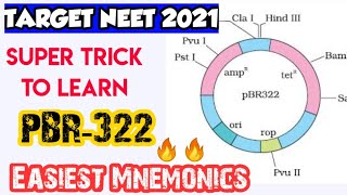 Super Trick To Learn pBR322 PLASMID  Biotechnology Tricks For NEET  NEET 2021 amp NEET 2022 [upl. by Hurlbut]