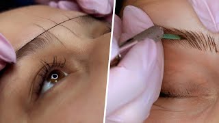 FULL MICROBLADING PROCESS  STEP BY STEP [upl. by Annoj63]