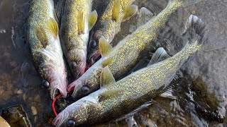 NE Iowa Walleye Fishing [upl. by Stricklan]