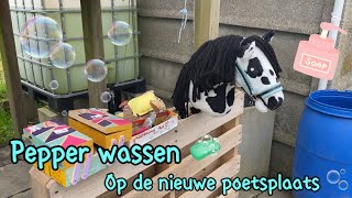 Pepper wassen op de nieuwe poetsplaats 🫧🧼🧽🐴 [upl. by Dorinda]