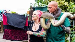 Reptile Lovers Live With 80 Snakes [upl. by Jordana]