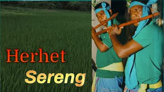 SANTALI TRADITIONAL HERHET SONG  NEW SANTALI TRADITIONAL SONG 2024  SLASA JGM [upl. by Warrenne]