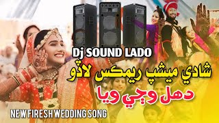 New Meshup Dance Sehro 2024  Wedding Song  Sindhi Lado Dj  Syed Dilbar Ali  Mumtaz Molai [upl. by Niamjneb]