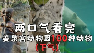 两口气看完！维也纳美泉宫动物园的100种动物（下气）💖💖 动物名单在说明区  🦁🐯🐻‍❄️🦓🫎🐆🦬🦏🦛🐃🦙🐠🦩🐧🦇 [upl. by Iretak340]