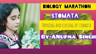 Biology MarathonStomataStomatal apparatusOpening and closing of stomata [upl. by Jez537]