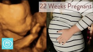 22 Weeks Pregnant What You Need To Know  Channel Mum [upl. by Mcdonald]