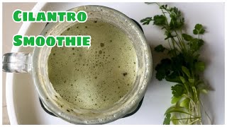 CilantroCoriander smoothie  Keto Friendly  Viathur Kitchen [upl. by Eetse214]