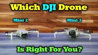 DJI Mini 2 SE Review Comparison With DJI Mini SEMini 2  DansTubeTV [upl. by Euqinot745]