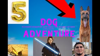 WORLD RECORD Dog Adventure 2022 5 MIN [upl. by Aicram]