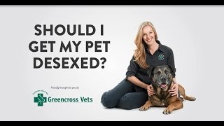 Greencross Vets  Should I Get My Pet Desexed [upl. by Leafar482]