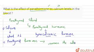 What is the effect of parathormone on calcium levels in the blood [upl. by Oyek]