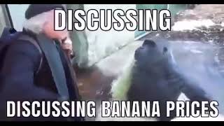 Discussing banana prices [upl. by Noillimaxam]