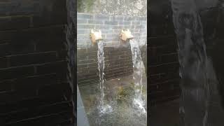 Natural water resor youtubeshorts natur villagelife shortfeed [upl. by Nadaha]