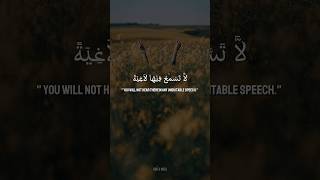 Beautiful Quran Recitation I Surah AlGhashiyah 881020 quran shorts surahalghashiyah [upl. by Ynohtnakram]