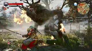 The Witcher 3 NextGen PS5 Full Game Part 15 no commentary [upl. by Rufena677]