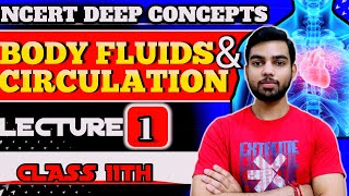 Body Fluids And Circulation Class11th  NEET2025  CBSE2025 [upl. by Yelruc]