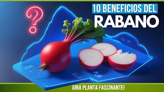 Beneficios del RÁBANO  10 PROPIEDADES y BENEFICIOS Sorprendentes🌱 [upl. by Nowad]