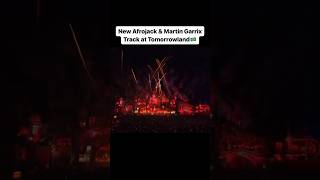 Afrojack amp Martin Garrix 2024 festival brasil tomorrowland techno rave edm viralvideo [upl. by Arvie]