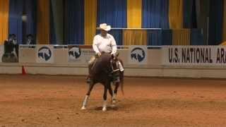 Arabian Reining  Kevin Simmons riding Oasis Zee Zee Top [upl. by Eseryt44]