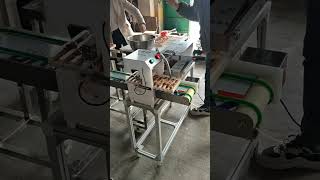 Automatic meat skewer stick machineautomatic feeding system and speed regulation [upl. by Ahdar577]